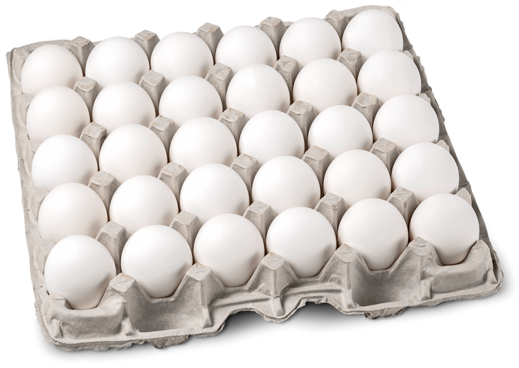 تخم مرغ 1 کیلویی